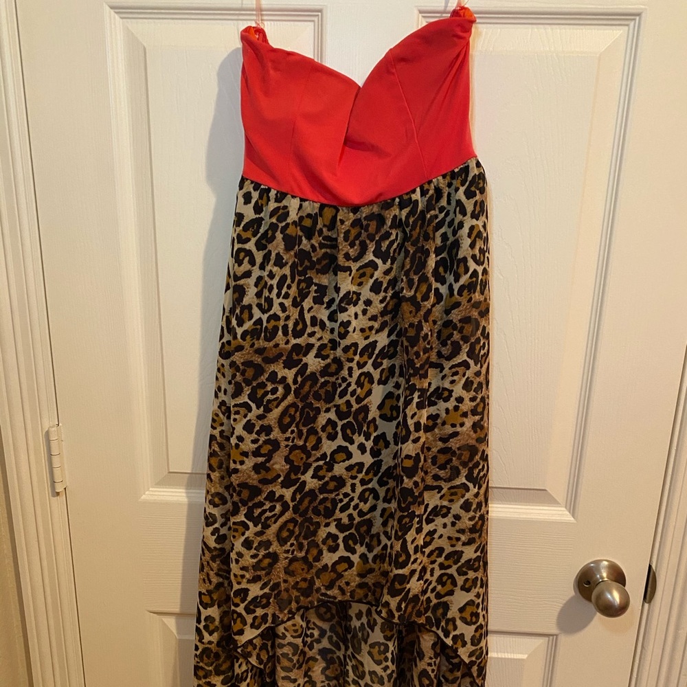 Cheetah print Maxi dress